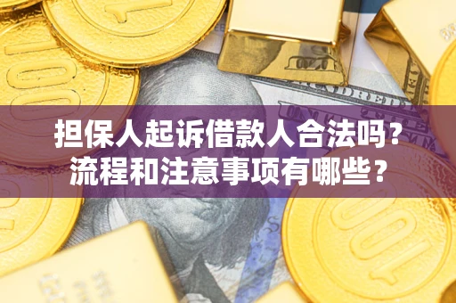 济南担保人起诉借款人合法吗？流程和注意事项有哪些？