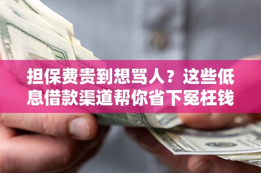 济南担保费贵到想骂人？这些低息借款渠道帮你省下冤枉钱
