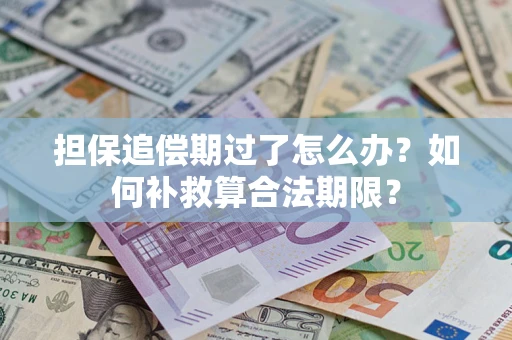 济南担保追偿期过了怎么办？如何补救算合法期限？