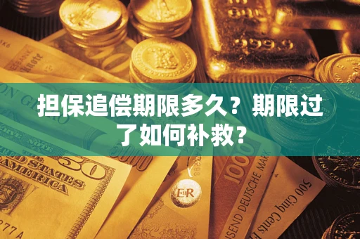 济南担保追偿期限多久？期限过了如何补救？