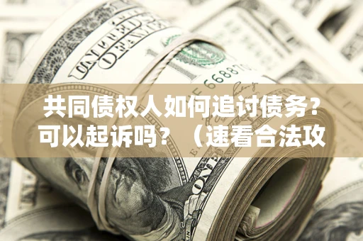 济南共同债权人如何追讨债务？可以起诉吗？（速看合法攻略）